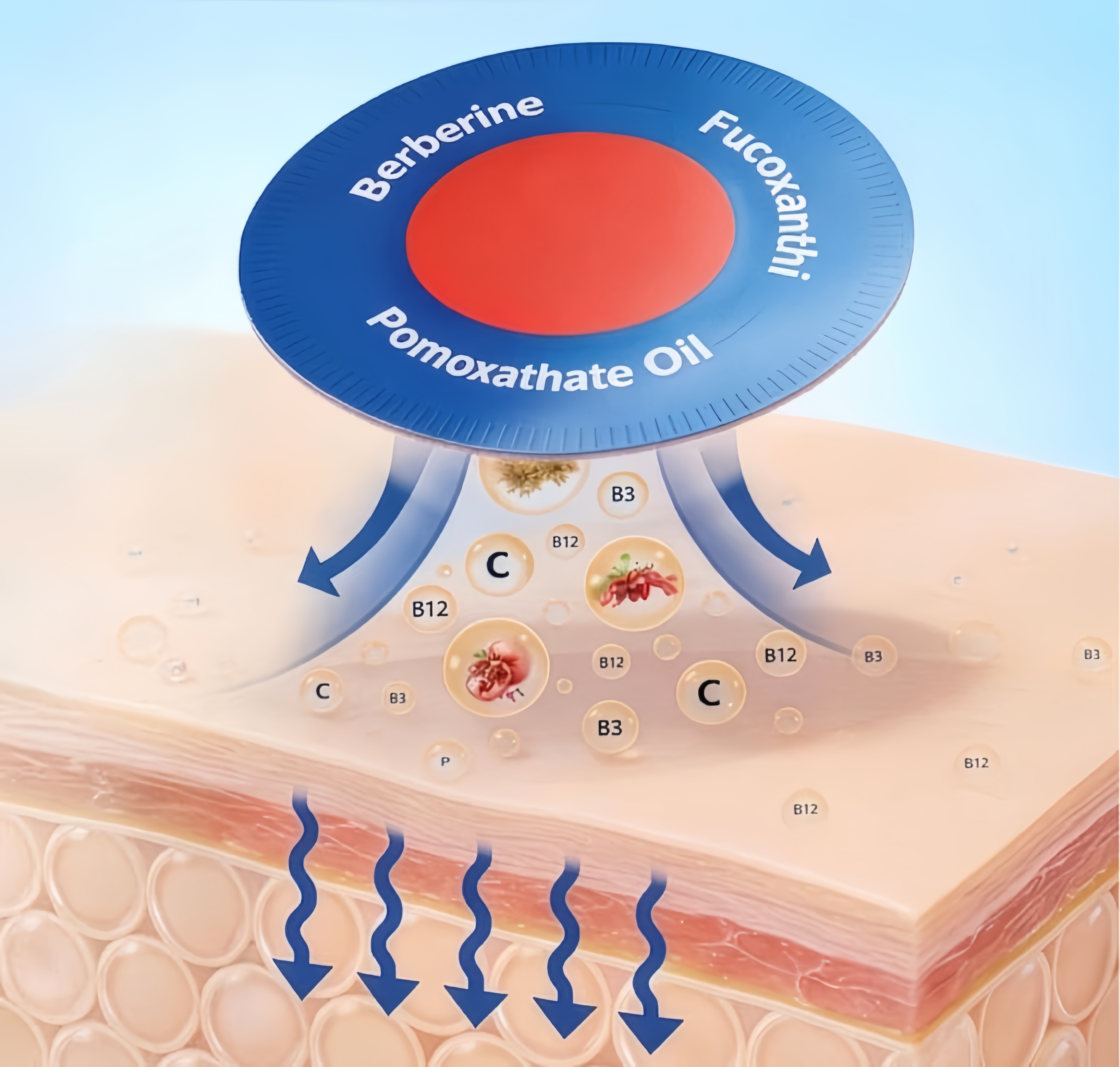 How Berberine Patches Work
